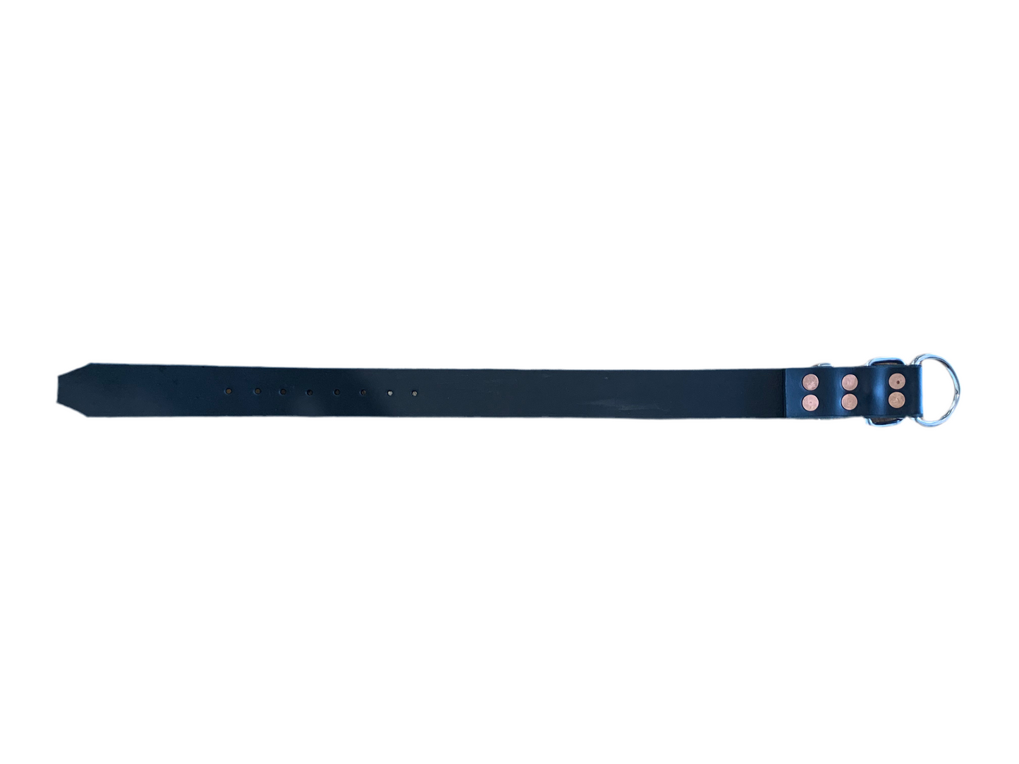 XL Dog Collar Made in the Outback