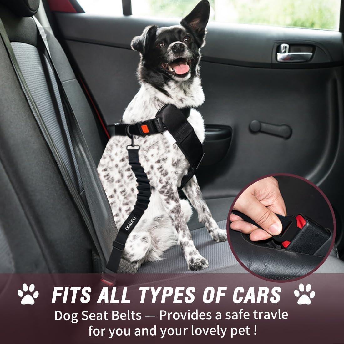 Dog Seat Belt – 3-Piece Retractable & Adjustable Car Seatbelt Set for Dogs | Heavy-Duty, Elastic & Durable Pet Car Harness for Safe Vehicle Travel