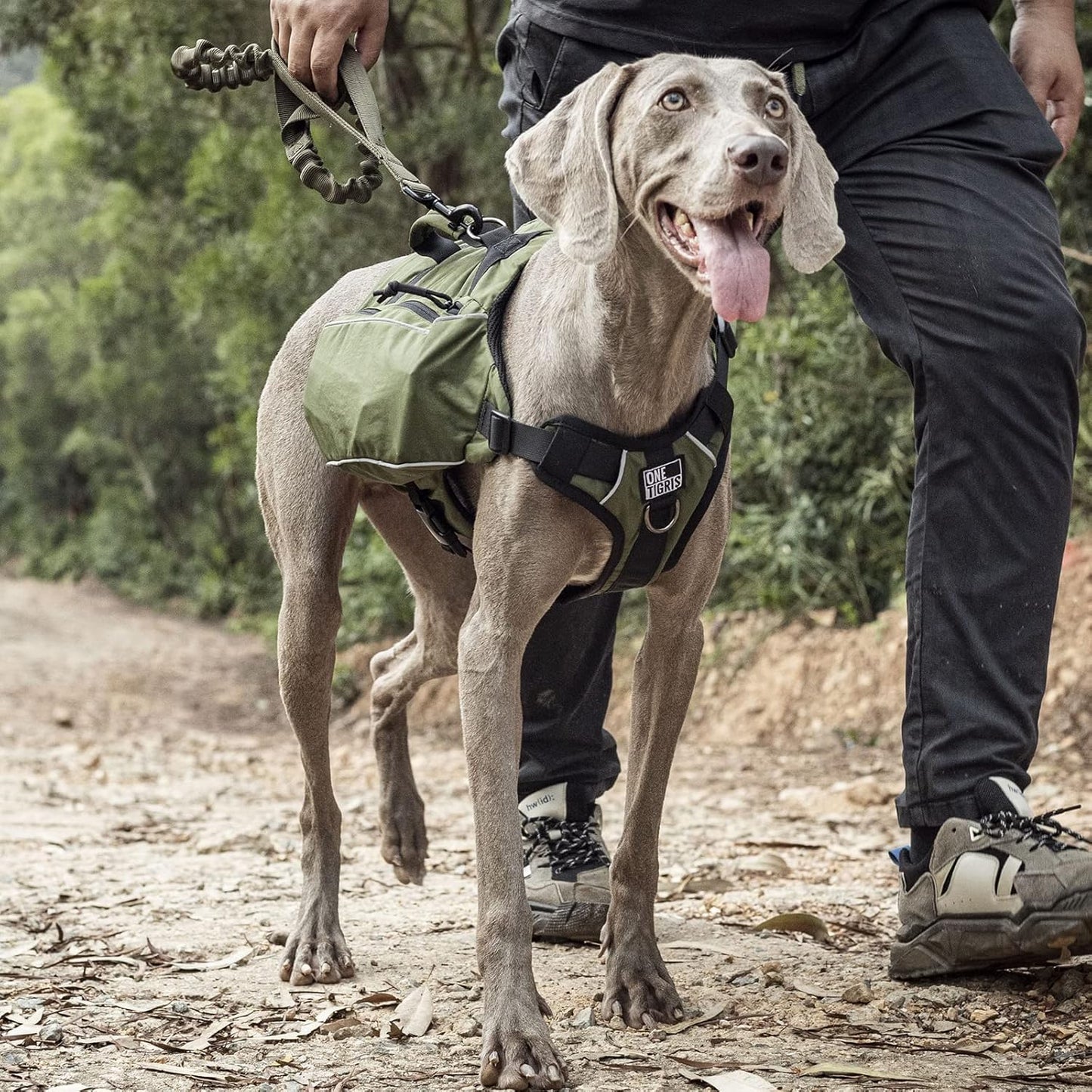 Y-Shaped Dog Backpack with Handle – Lightweight Hiking Pack with Pockets & No-Pull D-Rings (Large, Green)