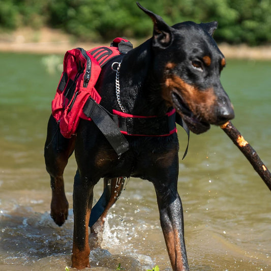 Large Dog Backpack – Outdoor Hound Saddle Bag with Side Pockets for Hiking, Camping, Travel & Training