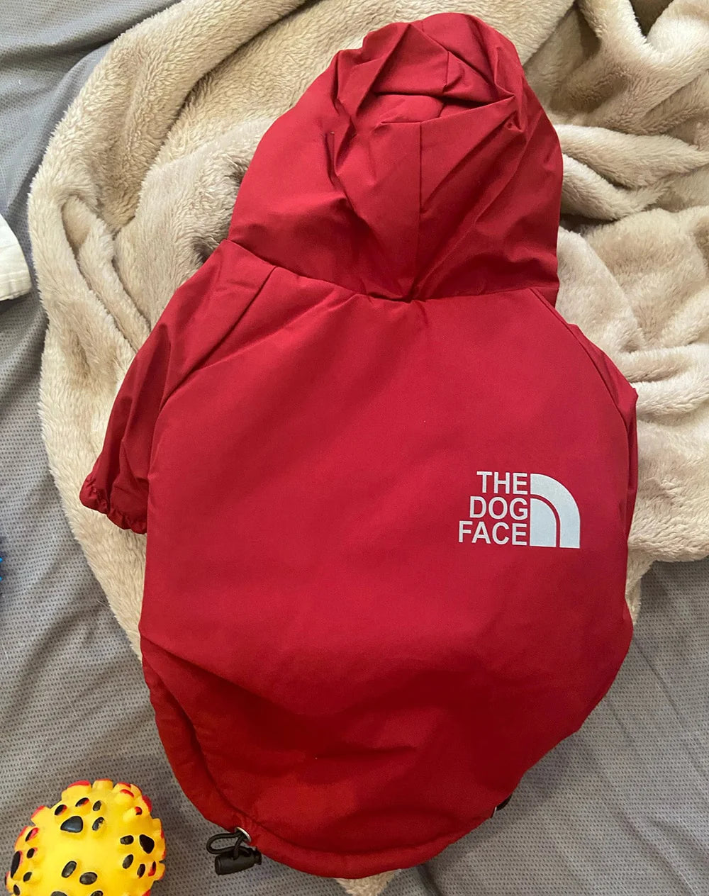 Autumn/Winter Pet Dog Waterproof Warm Coat – Cotton Hooded Jacket