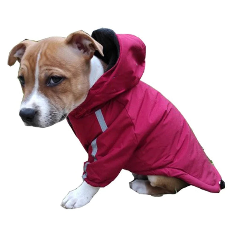 Autumn/Winter Pet Dog Waterproof Warm Coat – Cotton Hooded Jacket