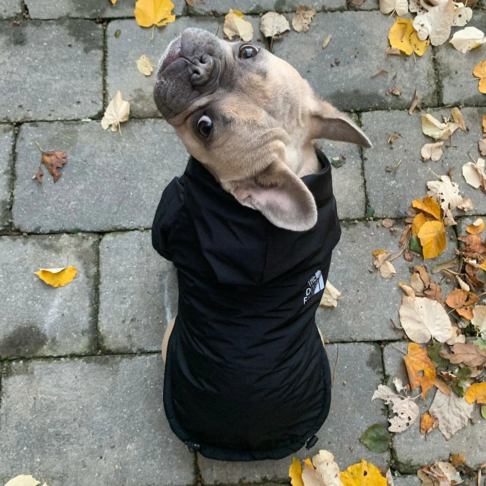 Autumn/Winter Pet Dog Waterproof Warm Coat – Cotton Hooded Jacket