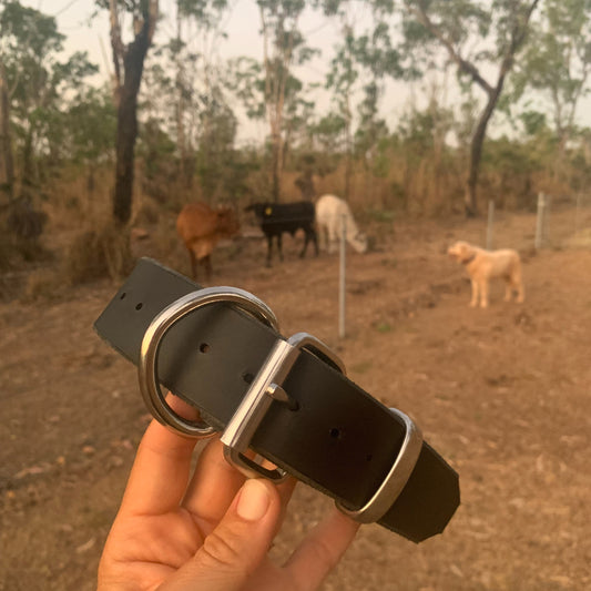XL Dog Collar Made in the Outback